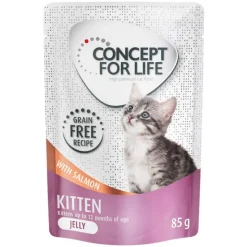 Säästöpakkaus Concept for Life viljaton 48 x 85 g