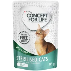 Säästöpakkaus Concept for Life viljaton 48 x 85 g