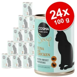 Säästöpakkaus Cosma Keitto 24 x 100 g