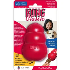 Säästöpakkaus: KONG Classic + KONG-puhdistusharja