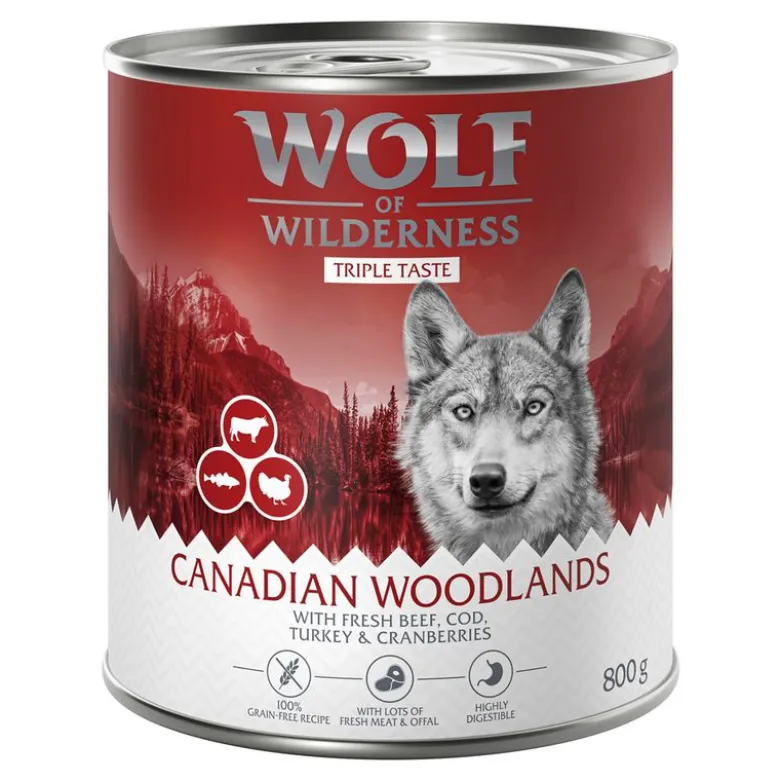 Säästöpakkaus: Wolf of Wilderness "The Taste Of" 24 x 800 g