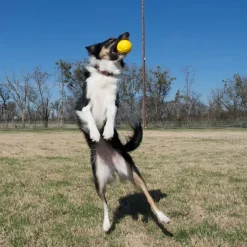 Starmark Fantastic DuraFoam -pallo