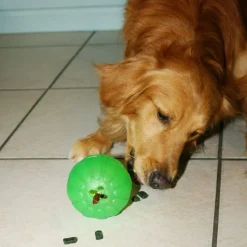 Starmark Treat Dispensing Chew Ball