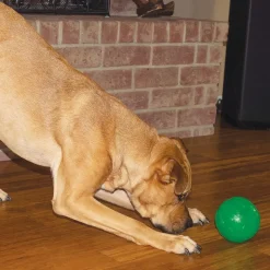 Starmark Treat Dispensing Chew Ball
