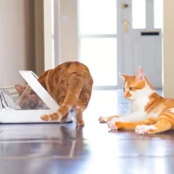 SureFeed Microchip Pet Feeder
