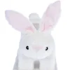 TIAKI Bunny -raapimistolppa kissoille
