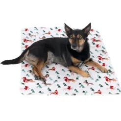 TIAKI Funny Winter Dogs -peitto