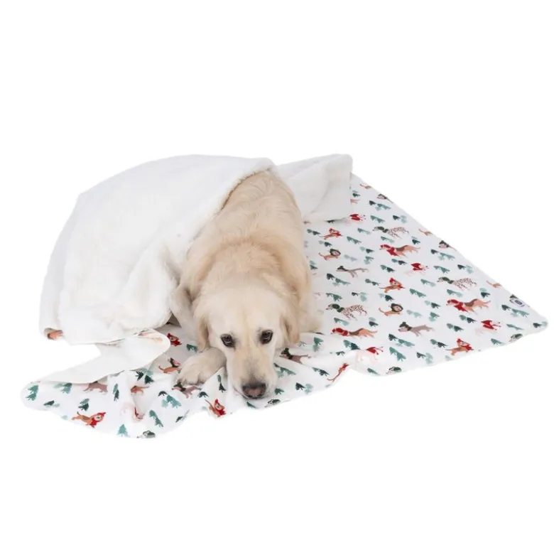 TIAKI Funny Winter Dogs -peitto