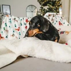 TIAKI Funny Winter Dogs -peitto