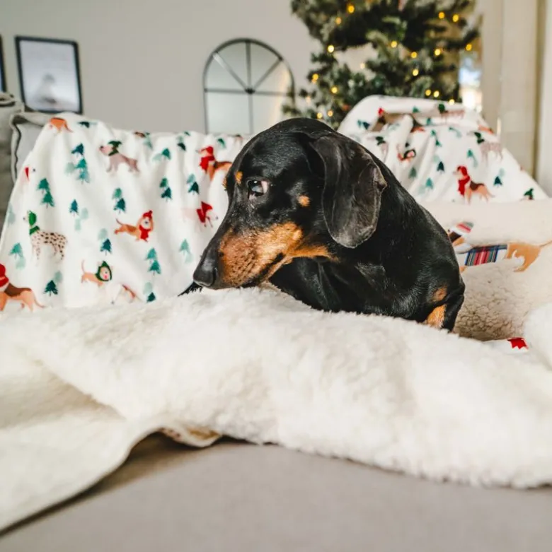 TIAKI Funny Winter Dogs -peitto