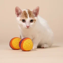 TIAKI Hacky Sack -setti kissoille