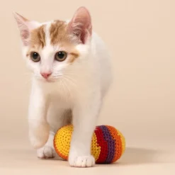 TIAKI Hacky Sack -setti kissoille