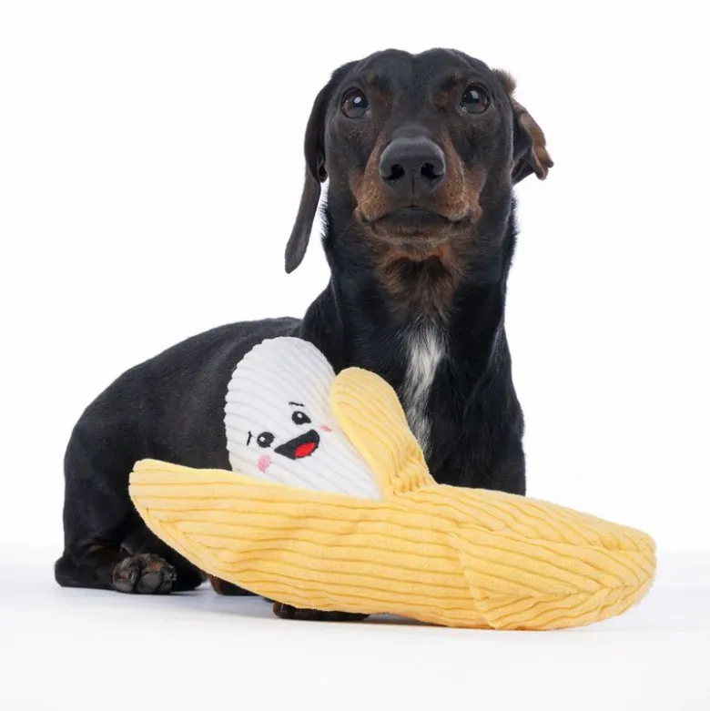 TIAKI Happy Banana -koiranlelu