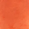 TIAKI Happy Carrot Tough -koiranlelu
