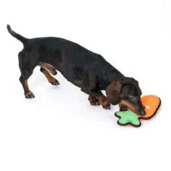 TIAKI Happy Carrot Tough -koiranlelu