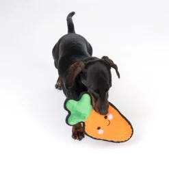 TIAKI Happy Carrot Tough -koiranlelu