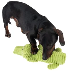 TIAKI Jack Squeaker -koiranlelu