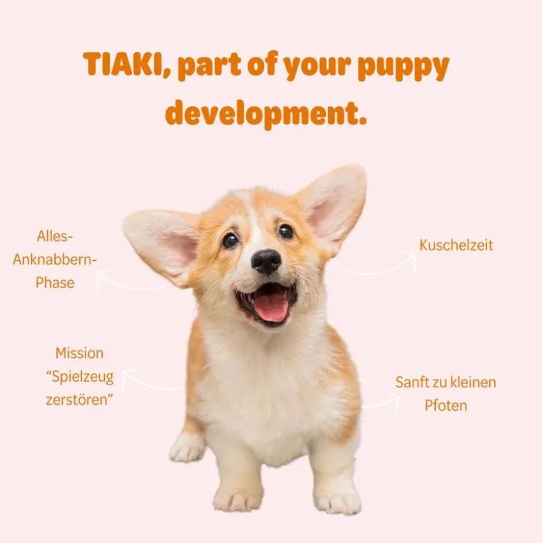 TIAKI Junior -pureskelukeppi koiranpennunlelu