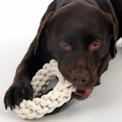 TIAKI-koiranlelu Rope Ring