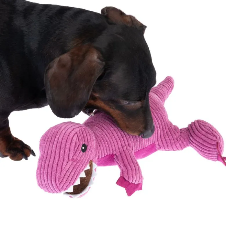 TIAKI-koiranlelu T-Rex