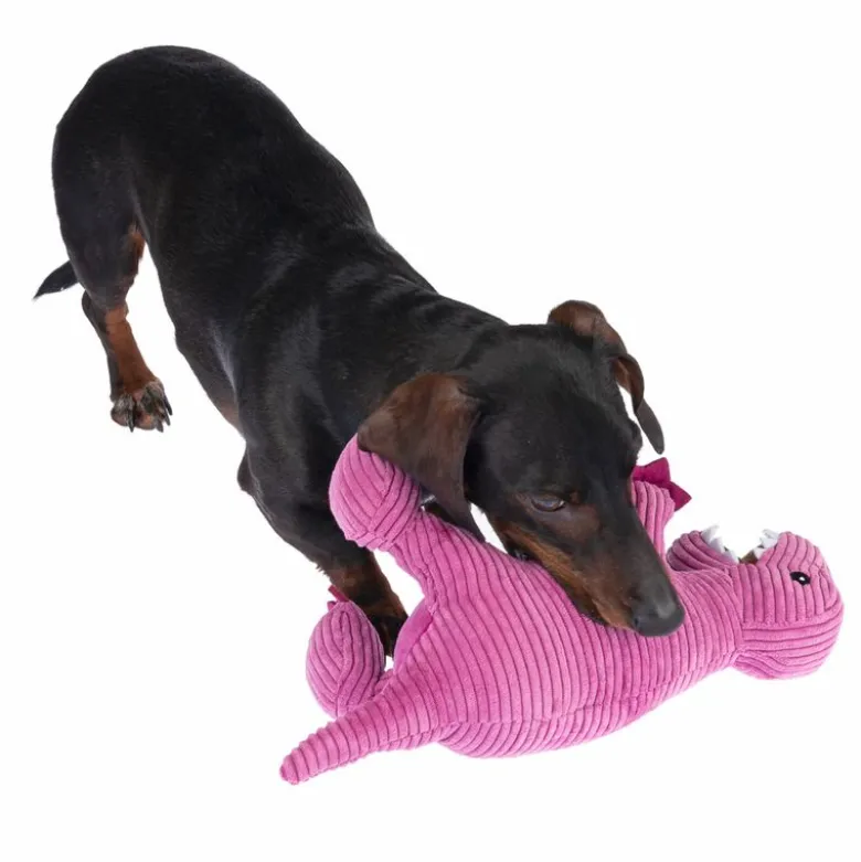 TIAKI-koiranlelu T-Rex
