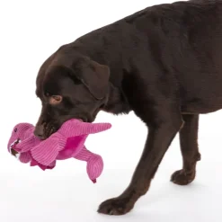 TIAKI-koiranlelu T-Rex