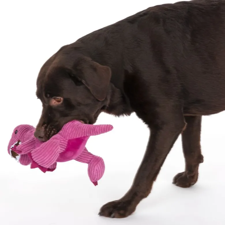 TIAKI-koiranlelu T-Rex