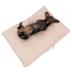 TIAKI Memory Foam -koiranpatja, beige