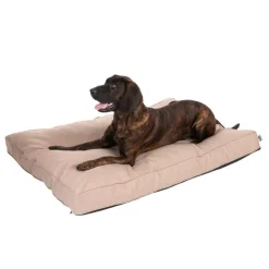 TIAKI Memory Foam -koiranpatja, beige