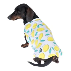 TIAKI Pet & Parent Lemon -yhteensopivat pyjamat