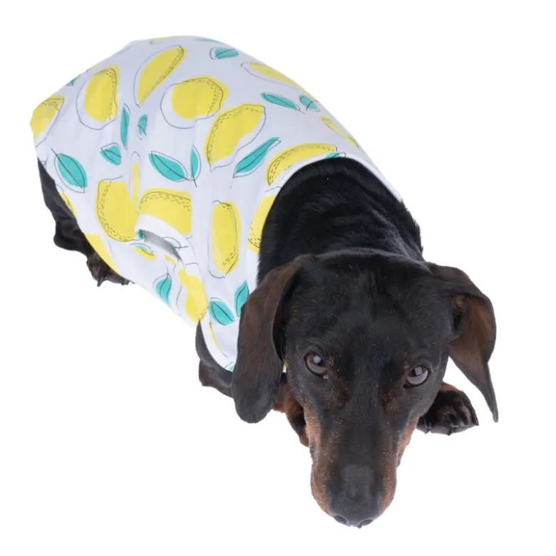 TIAKI Pet & Parent Lemon -yhteensopivat pyjamat