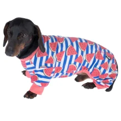 TIAKI Pet & Parent -yhteensopivat pyjamat, meloni
