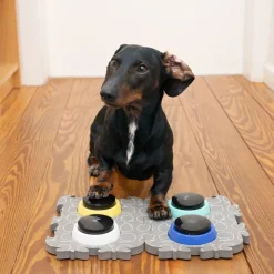 TIAKI Pet Talking Buttons 
