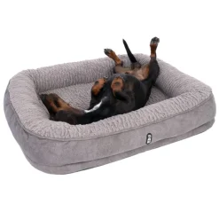TIAKI Poolside Paws Fossil -koiranpeti