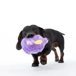 TIAKI-pörröpallo koirille