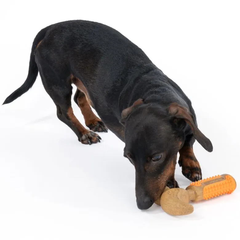 TIAKI-puruleluvasara