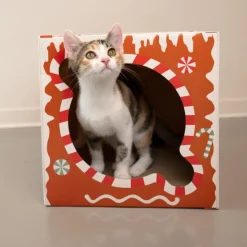 TIAKI-raapimistunneli piparkakku
