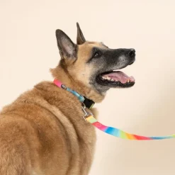 TIAKI Rainbow -kaulapanta