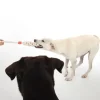 TIAKI Rope Stick -koiranlelu