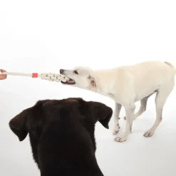 TIAKI Rope Stick -koiranlelu