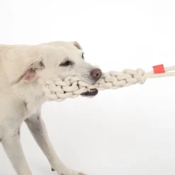 TIAKI Rope Stick -koiranlelu