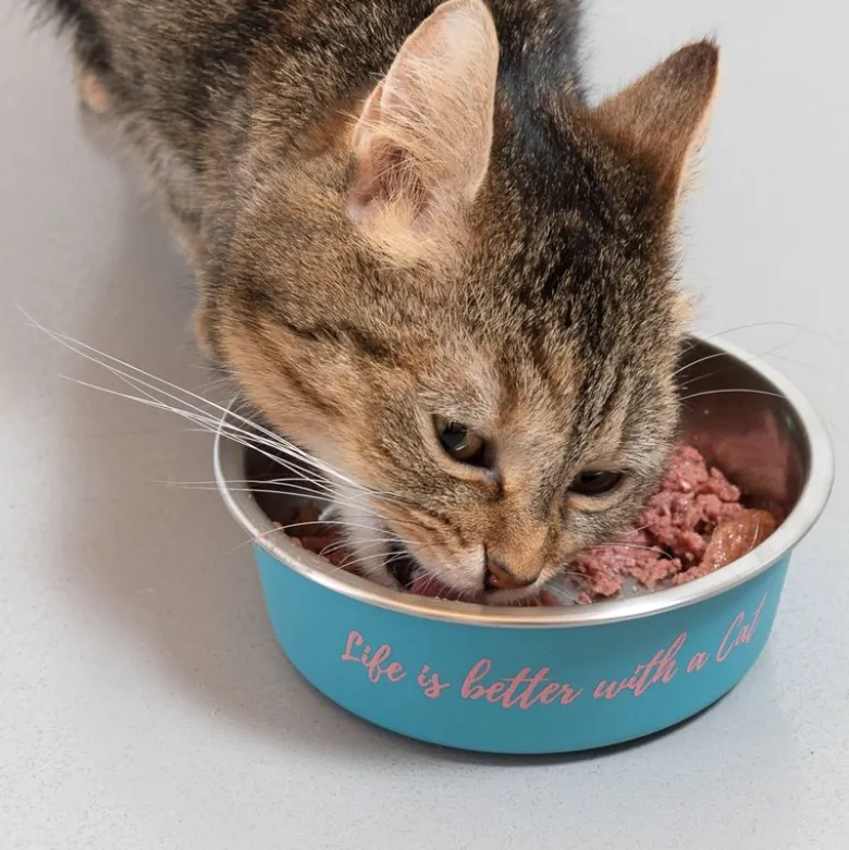 TIAKI-ruokakuppi “Better With A Cat” ruostumatonta terästä