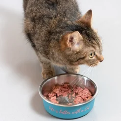 TIAKI-ruokakuppi “Better With A Cat” ruostumatonta terästä