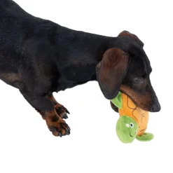 TIAKI Silent Squeaky Turtle -koiranlelu