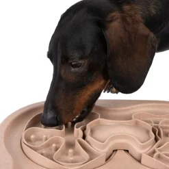 TIAKI Slow Feed Puzzle -älylelu