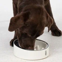 TIAKI Smart Slow Feeder vaa'alla
