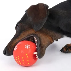 TIAKI Snow Ball -lateksipallo