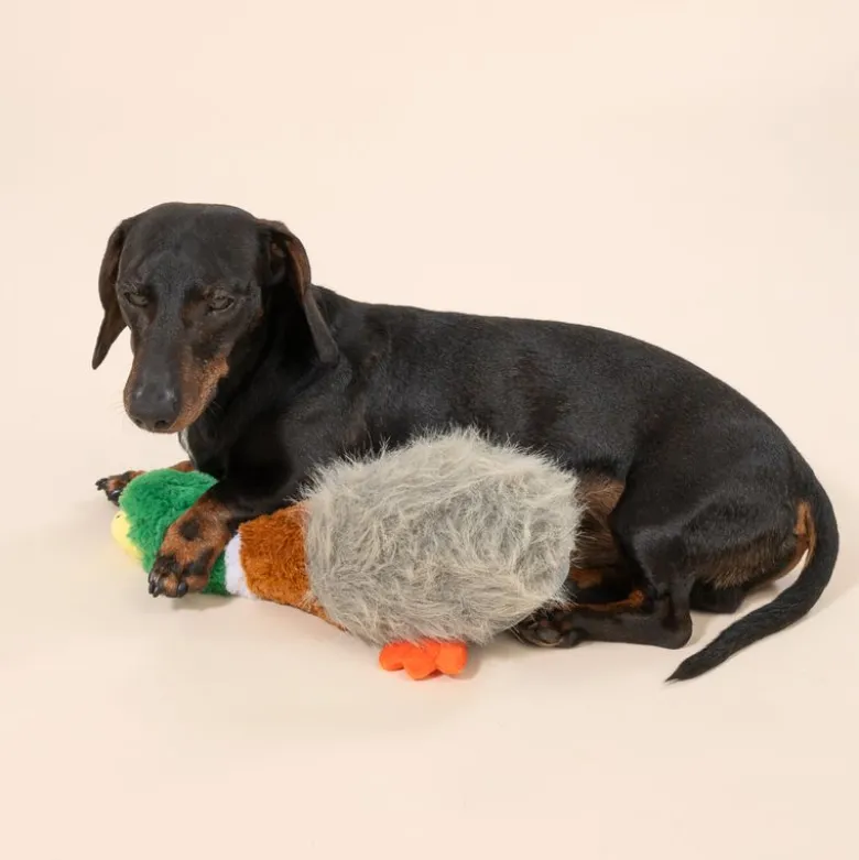 TIAKI "Squawk" ankka -koiranlelu
