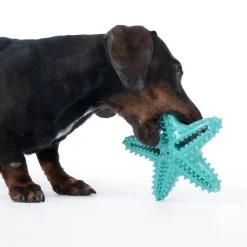 TIAKI Starfish koiranlelu