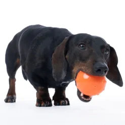 TIAKI Waterballoon -koiranlelu